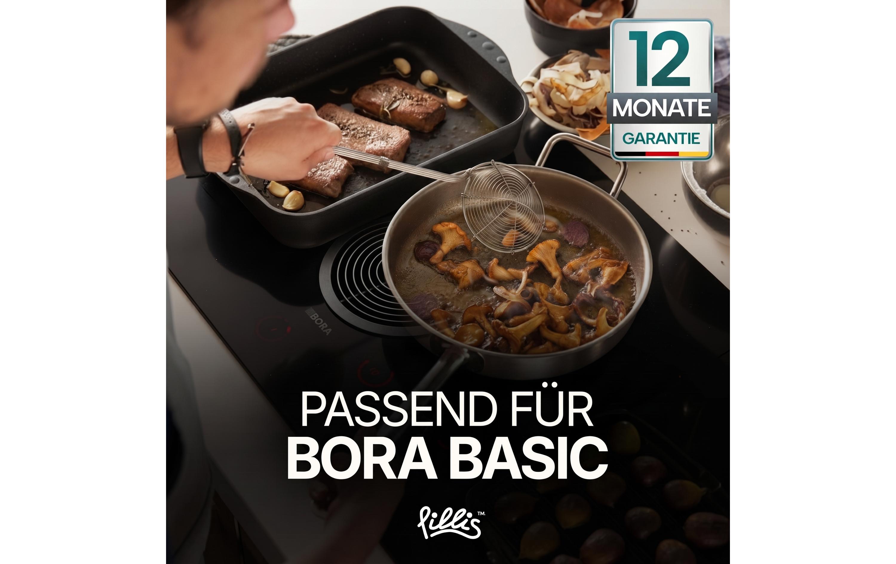 Pillis Aktivkohlefilter-Set Bora Basic 2 Stück